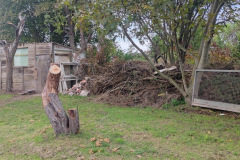 Foto-22.10.21-20-11-54-1