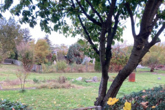 Foto-22.10.21-20-11-55-4